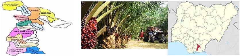 Why Not a Free Copy of Abia State Palm Plantation Business Plan