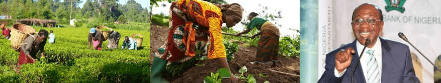 Non-interest loans: C.B.N. disburses N432b to Selected farmers