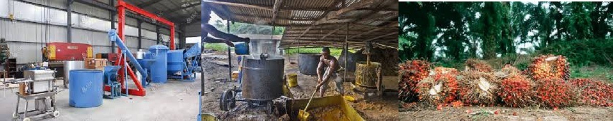Palm Oil Processing Planning For Abia State Communities