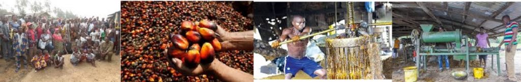 When you need Community Palm Oil Mill Business Plan: This is for Delta State