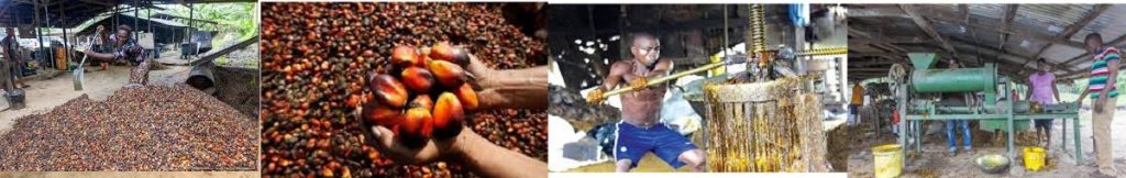 When you need Community Palm Oil Mill Business Plan: This is for Delta State