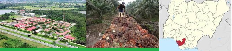 This is Delta State Communities Palm Oil Plantation Business Plan