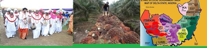 This is Delta State Communities Palm Oil Plantation Business Plan