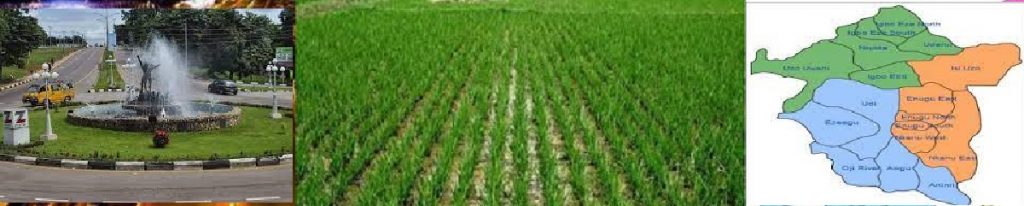 Rice Plantation & Processing: This is Enugu State Communities Business Plan