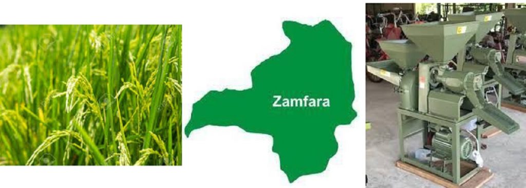 Rice Plantation: This is the business plan template for Zamfara communities.
