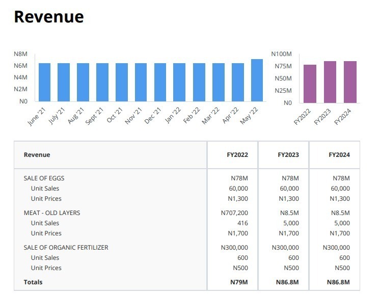 Current  Entrepreneurship Strategies - This is income generating