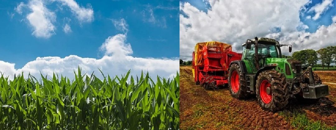 Agricultural business:  Here are Samples of business plans