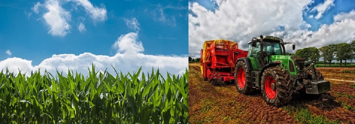 Agricultural business: Here are Samples of business plans