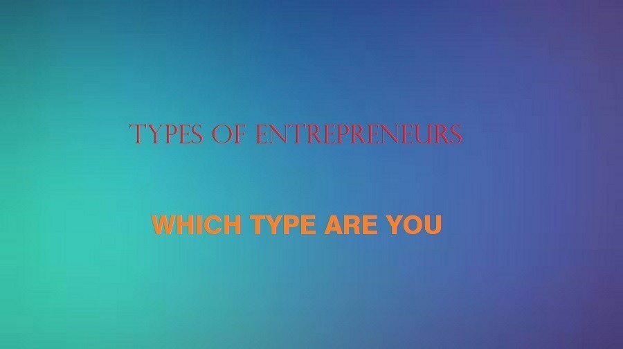 Types of Entrepreneurs: Which One are you?