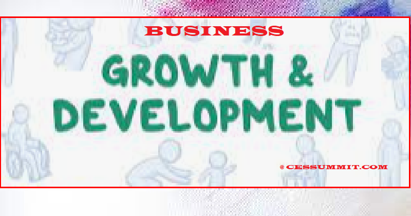 Business Development Services for economic growth and development in Nigeria