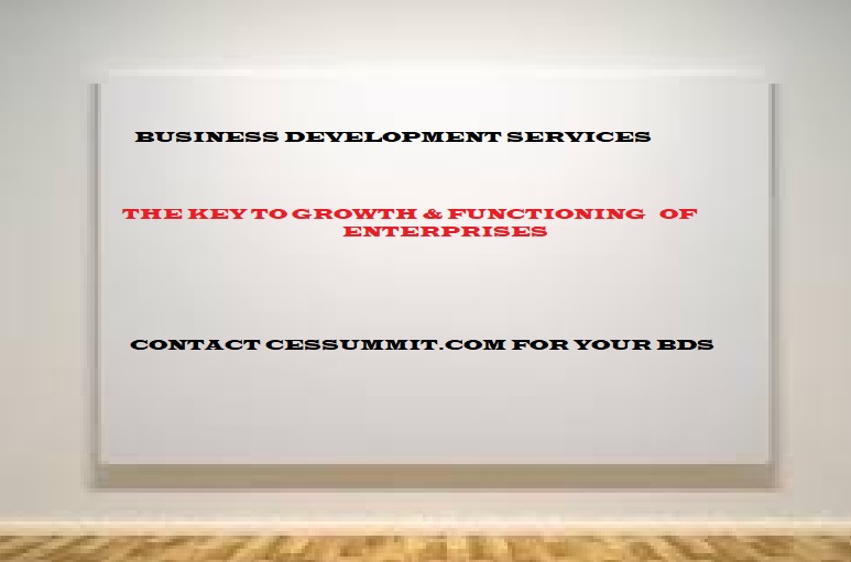 Business Development Services: The Key to the Growth and Functioning of Enterprises