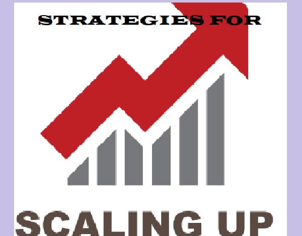 How Start-ups can Overcome scaling-up Challenges