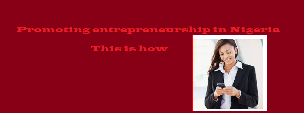 Promoting entrepreneurship in Nigeria - This is how