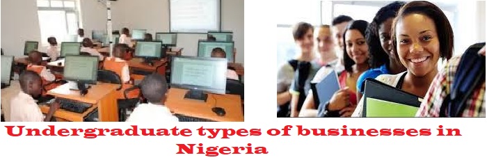 Undergraduate types of businesses in Nigeria: How to start.
