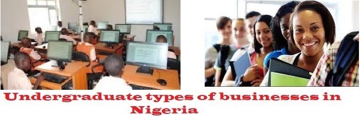 Undergraduate types of businesses in Nigeria: How to start.