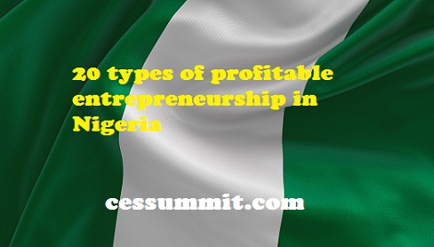 20 types of profitable entrepreneurship in Nigeria