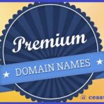 How Good Premium Domain Names Aid Startups to Succeed