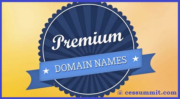 How Good Premium Domain Names Aid Startups to Succeed