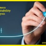 Business profitability analysis: How to Apply
