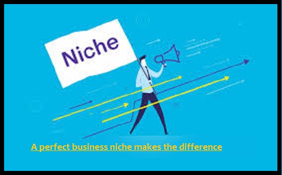 A perfect business niche makes the difference