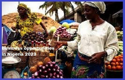 Business opportunities in Nigeria 2023