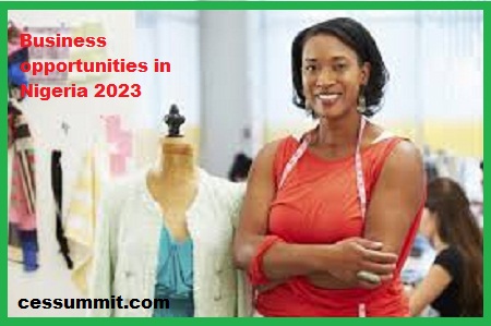 Business opportunities in Nigeria 2023