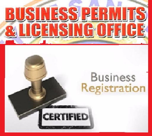 What are the approved business licenses in Nigeria?