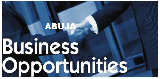Business opportunities in Abuja 2024