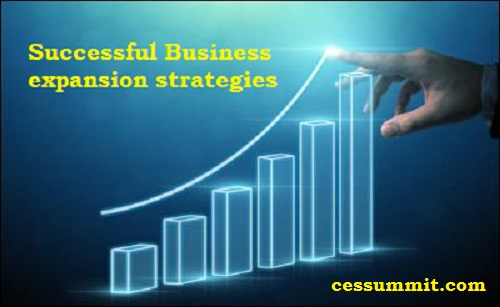 Successful Business expansion strategies: This is how they work