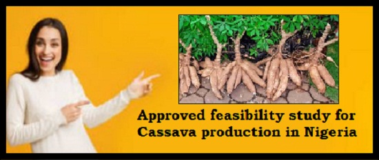 Approved feasibility study for Cassava production in Nigeria
