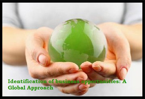 Identification of business opportunities: A Global Approach