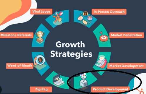 Driving Business Growth through Effective Product Development
