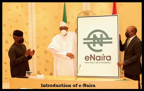 How to Harness The Power of E-Naira for Cashless Payments in Business