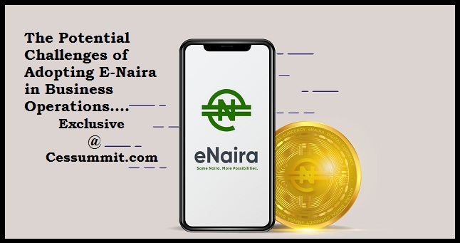 The Potential Challenges of Adopting E-Naira in Business Operations