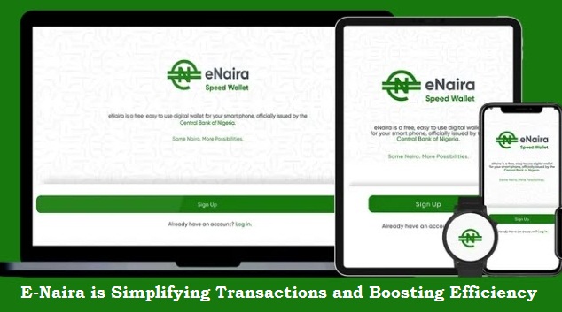 E-Naira is Simplifying Transactions and Boosting Efficiency for Businesses: