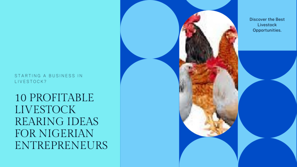10 Profitable livestock rearing Businesses to Start in Nigeria