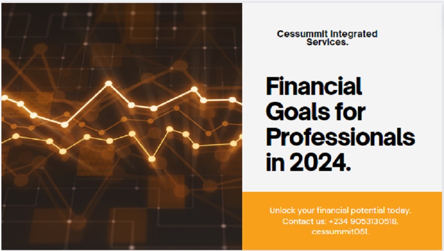 Targeted Financial goals for Professionals to watch in 2024