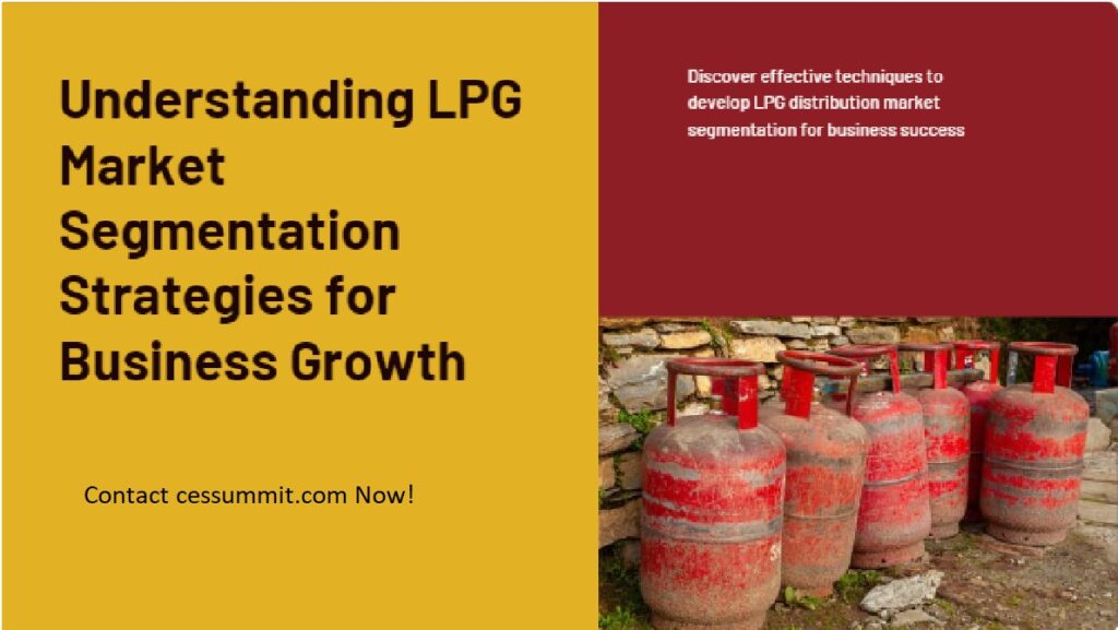 This is LPG Distribution Business Market Segmentation